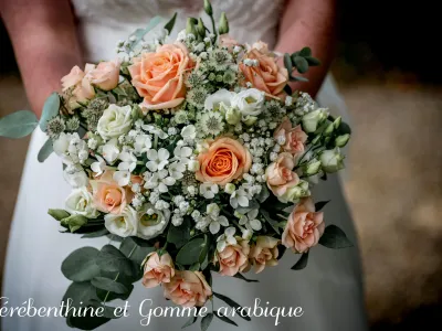 Photo Les Photos Officielles