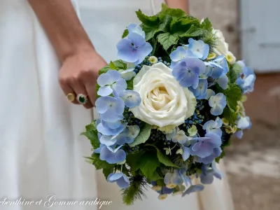 Photo Les Photos Officielles